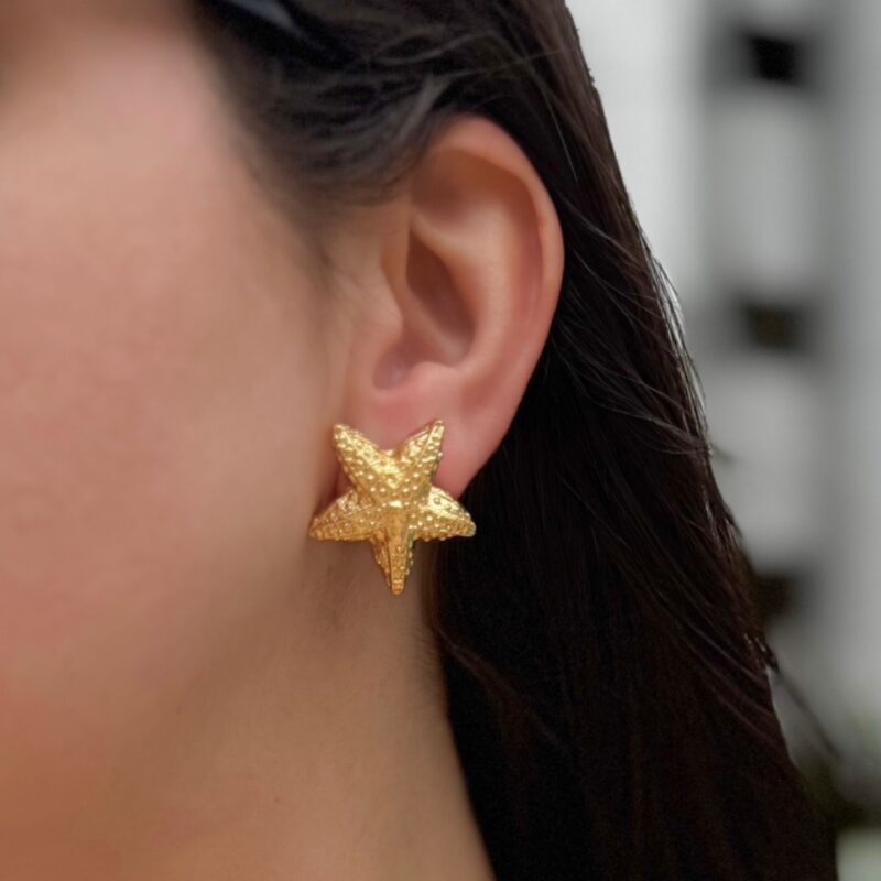 Brinco estrela do mar G